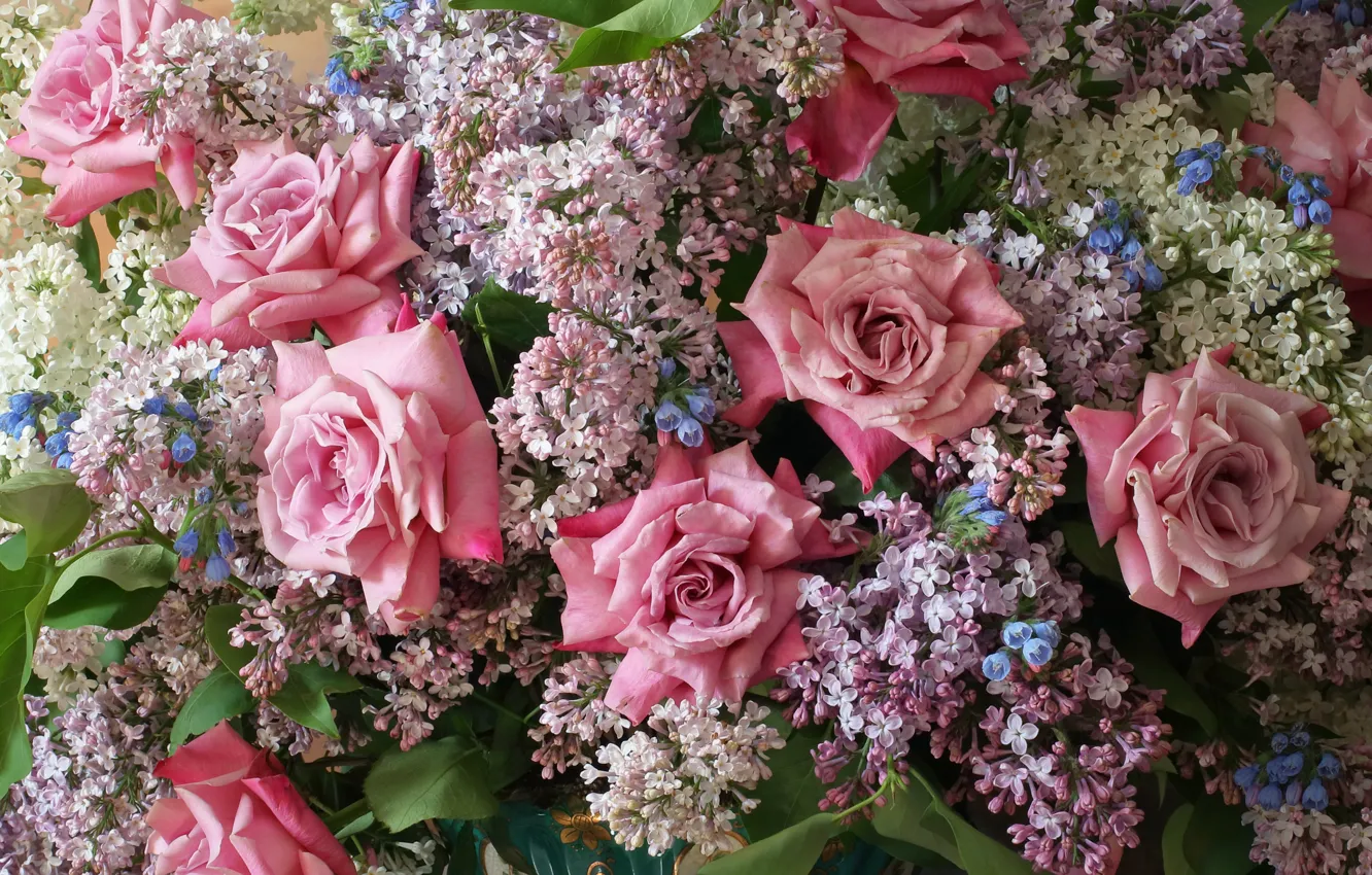 Photo wallpaper roses, bouquet, lilac, Andrey Morozov