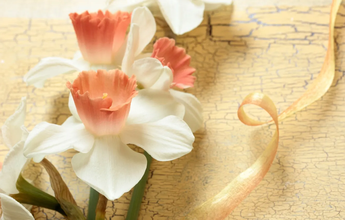 Photo wallpaper flowers, tenderness, tape, daffodils
