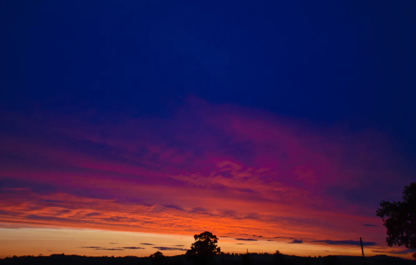 Photo wallpaper the sky, clouds, trees, silhouette, glow