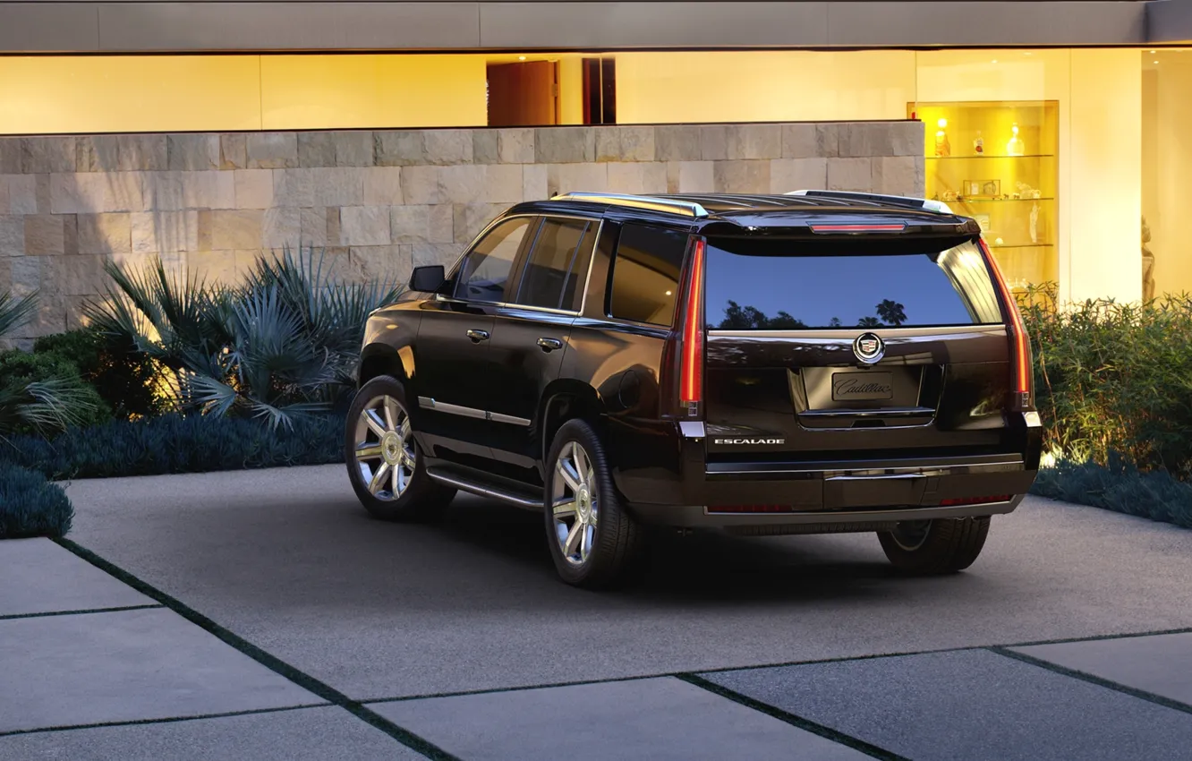 Photo wallpaper background, black, jeep, SUV, rear view, Cadillac Escalade, Cadillac Escalade