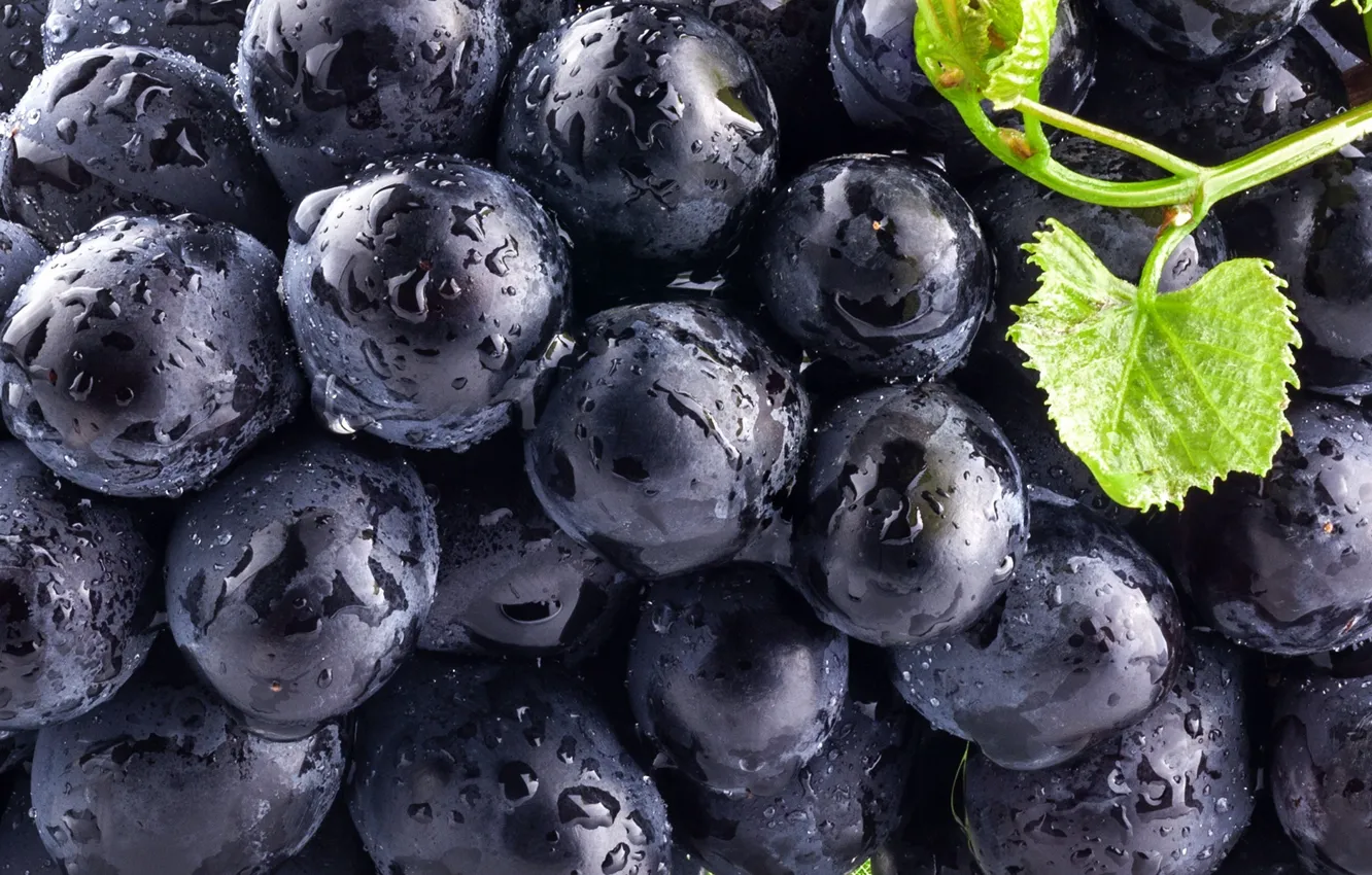 Photo wallpaper leaves, blue, berries, black, berry, grapes, black, blue