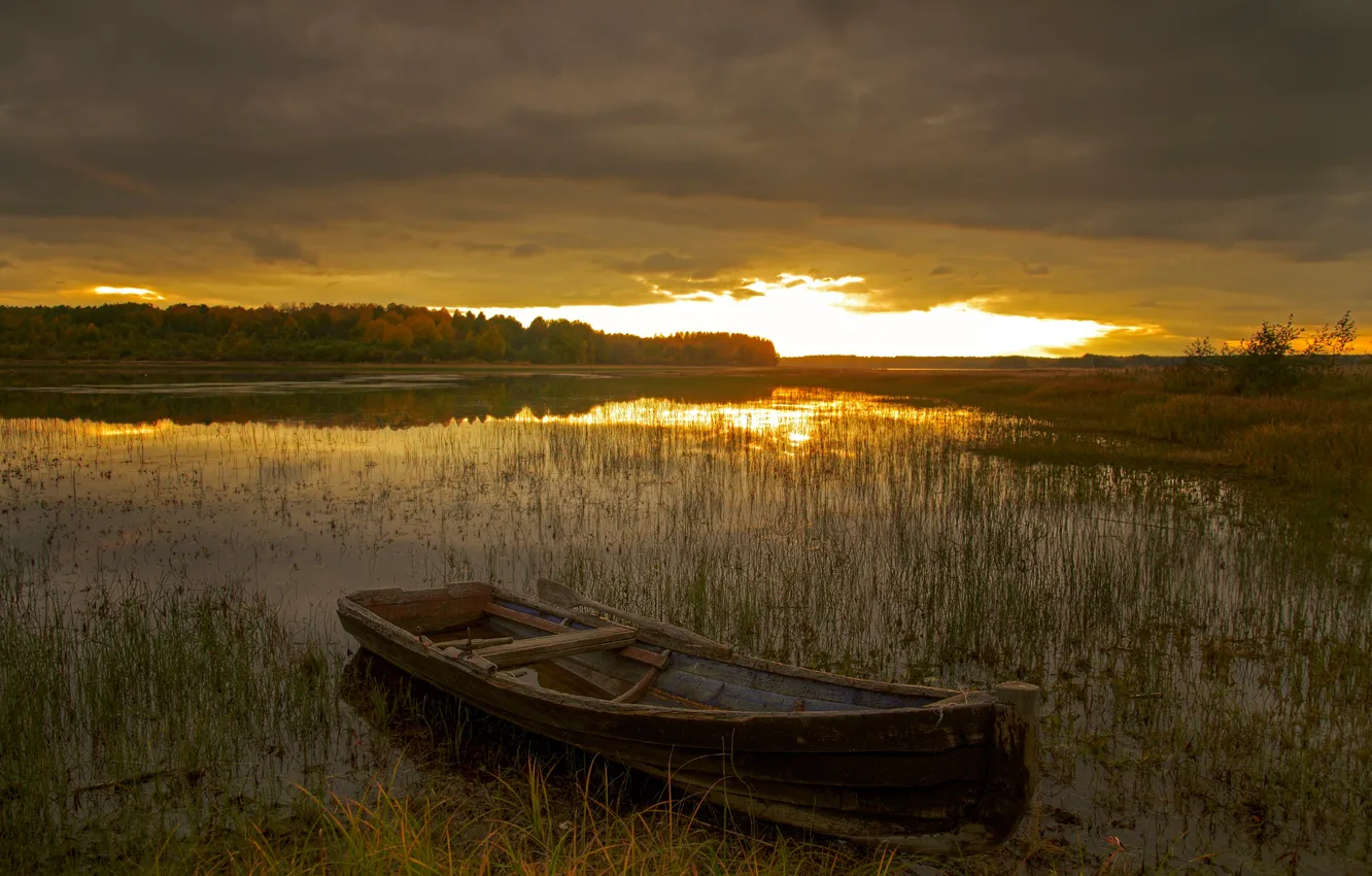 Photo wallpaper sunset, Russia, North, Kenozerie