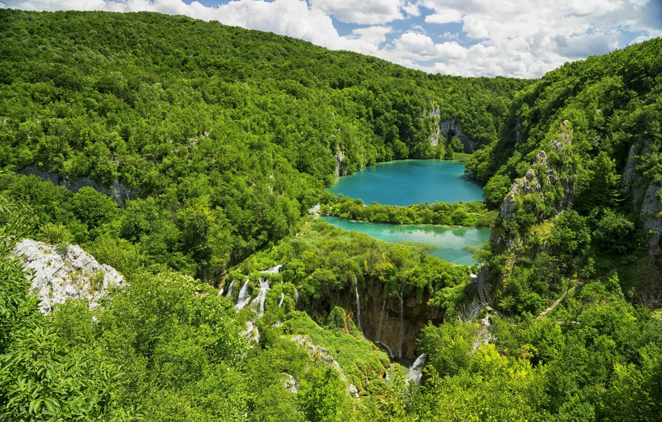 Photo wallpaper forest, clouds, lake