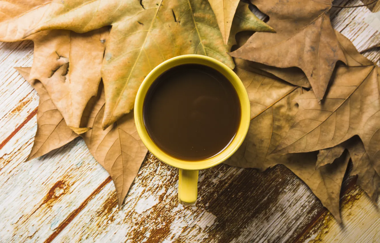 Photo wallpaper autumn, leaves, trees, background, coffee, colorful, Cup, wood