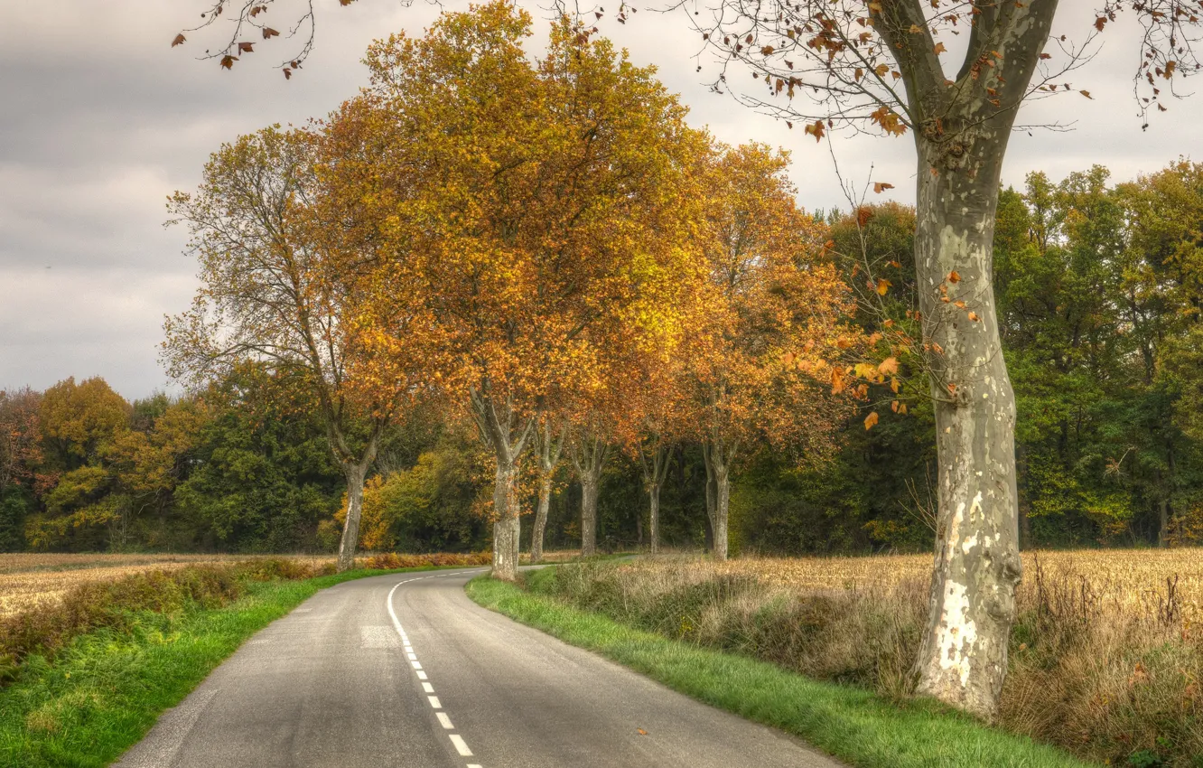 Photo wallpaper landscape, nature, beauty