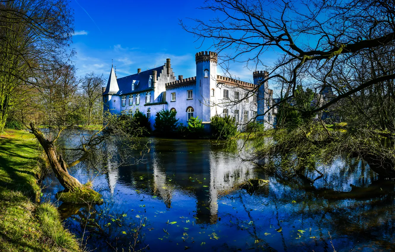 Photo wallpaper trees, landscape, branches, pond, reflection, castle, Netherlands, Stapelen Castle