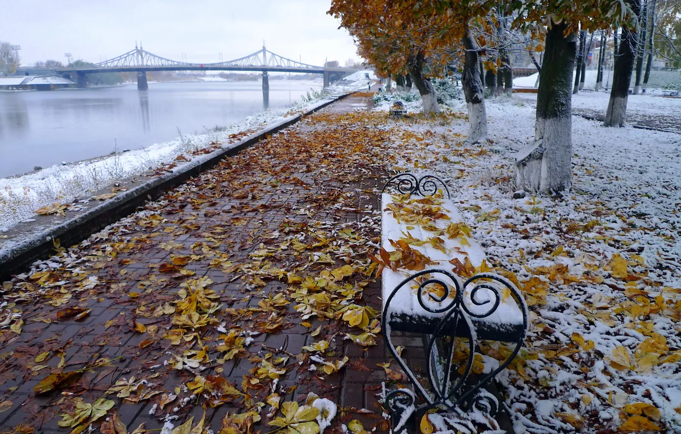 Photo wallpaper autumn, leaves, landscape, bridge, October, promenade, Volga, chestnuts