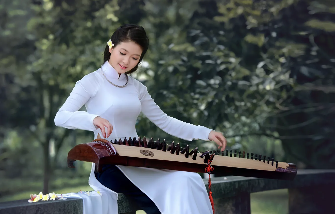 Photo wallpaper girl, face, dress, musical instrument