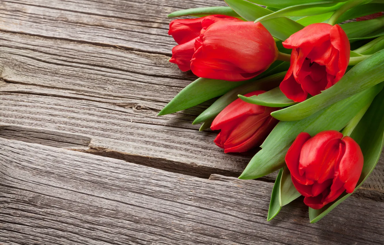 Photo wallpaper flowers, bouquet, tulips, red, love, wood, flowers, romantic