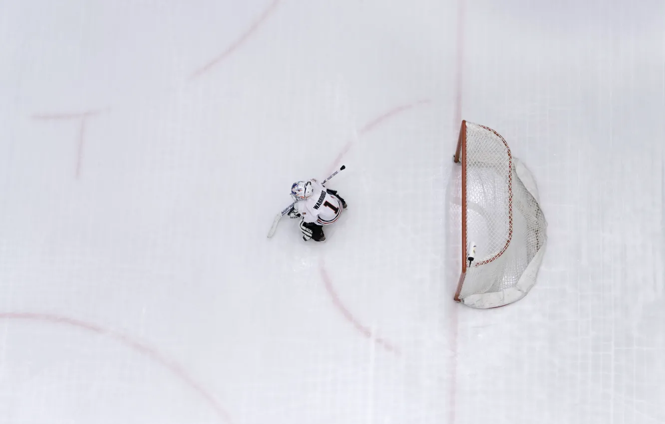 Photo wallpaper hockey, goalkeeper, Number 1