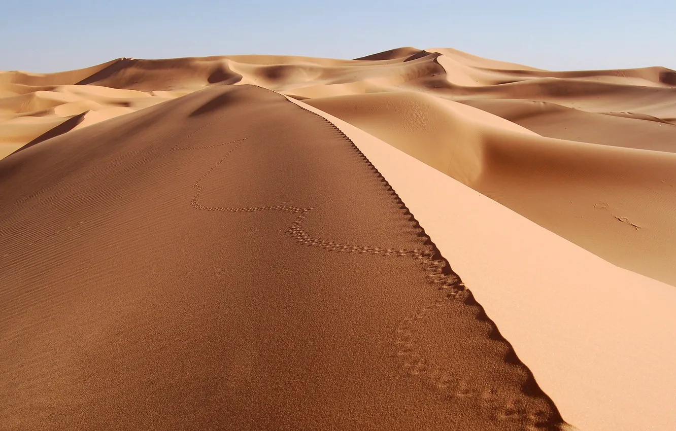 Photo wallpaper Sand, Desert, Traces