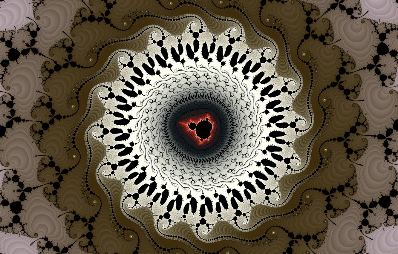 Photo wallpaper flowers, pattern, brown