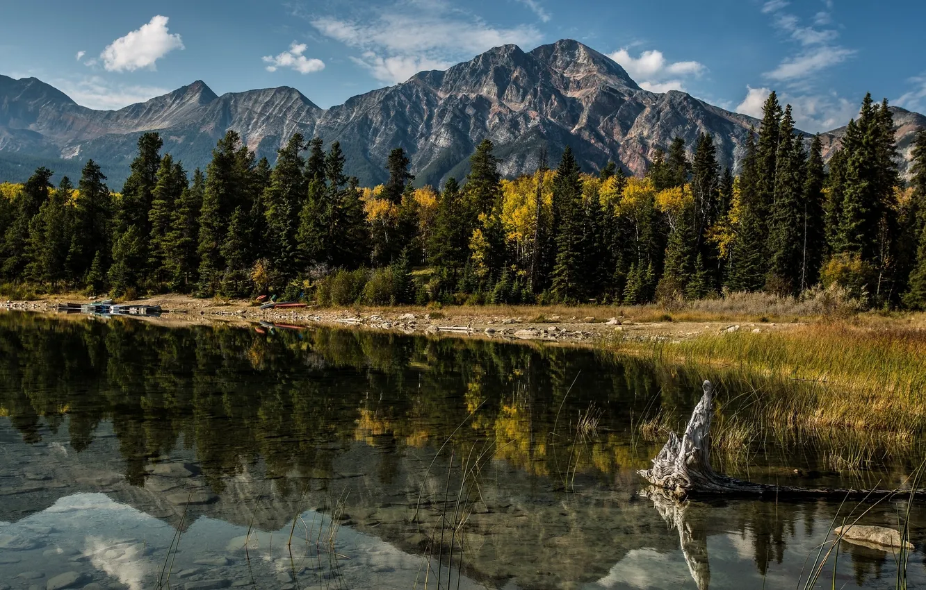 Photo wallpaper trees, mountains, lake, reflection, Canada, Albert, Alberta, Canada
