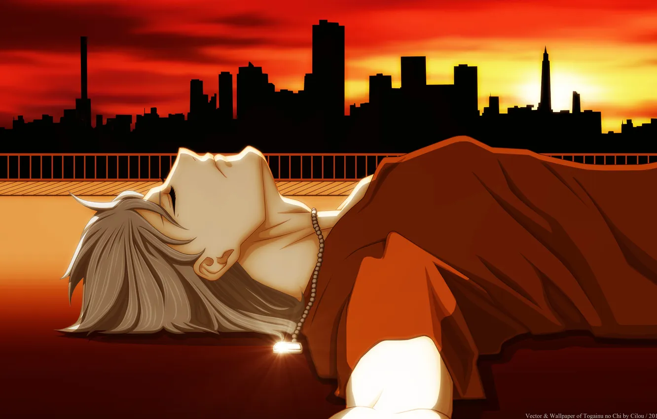 Photo wallpaper the sky, the sun, home, anime, lies, guy, sunset, Akira