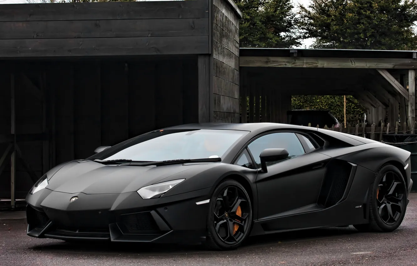 Wallpaper trees, reflection, the building, lamborghini, aventador ...