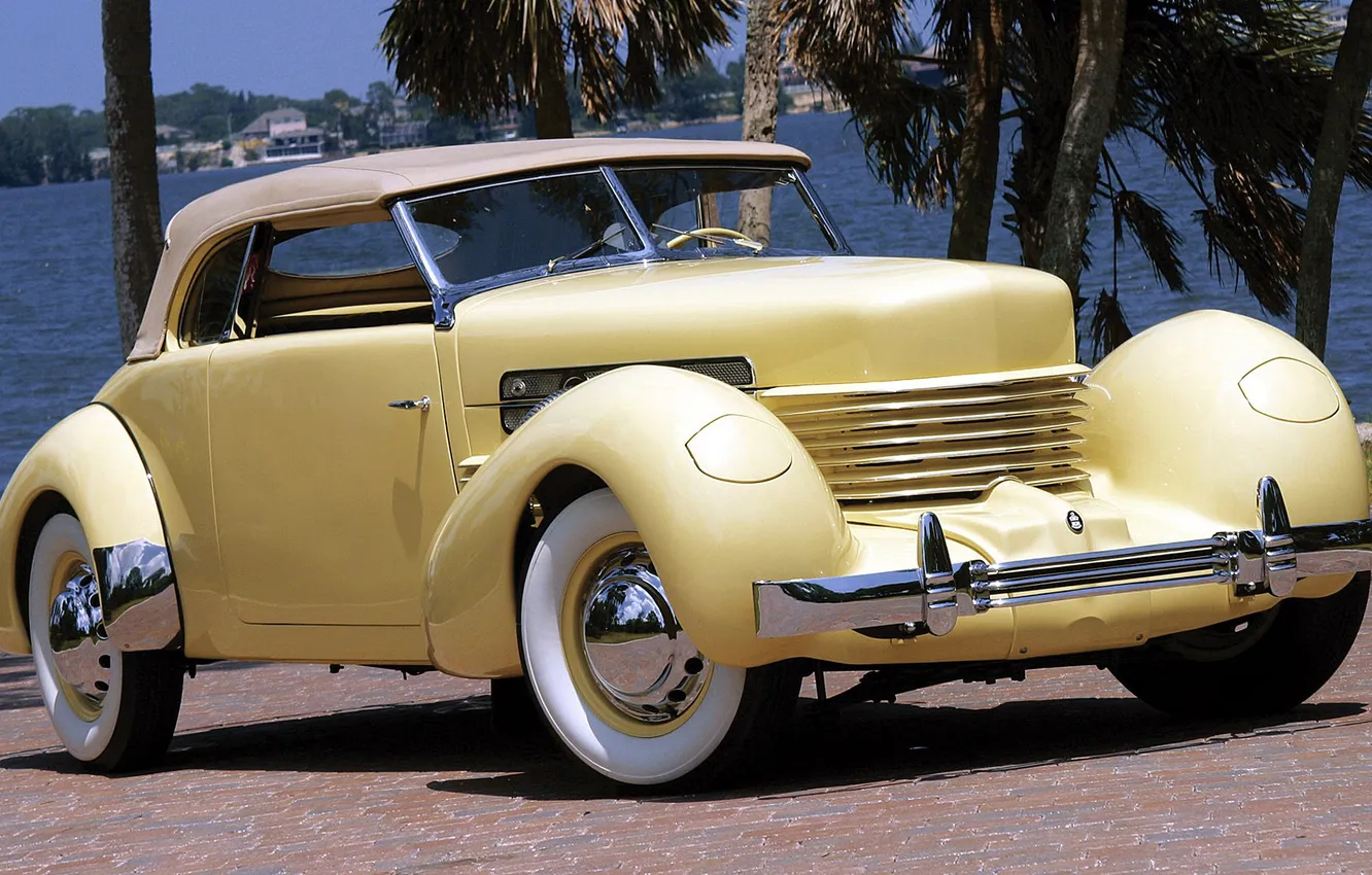 Wallpaper nature, retro, Palma, grille, bumper, convertible for mobile