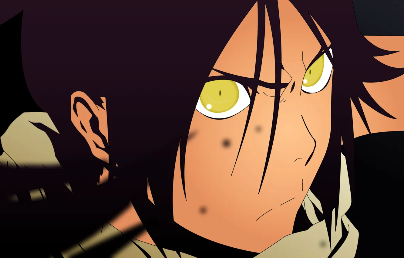 Photo wallpaper Bleach, anime, shihouin yoruichi