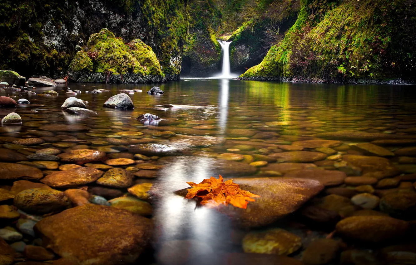 Photo wallpaper autumn, forest, leaves, trees, lake, stones, waterfall