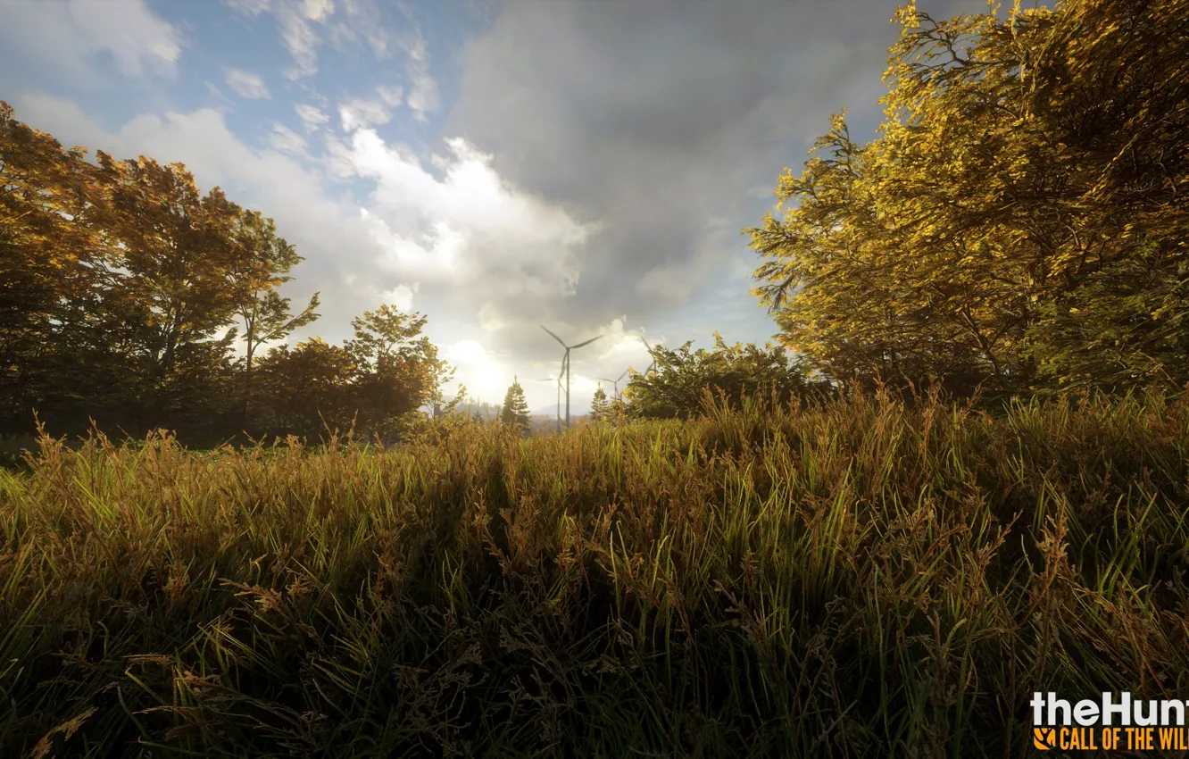 Photo wallpaper forest, nature, the game, thehunter call of the wild