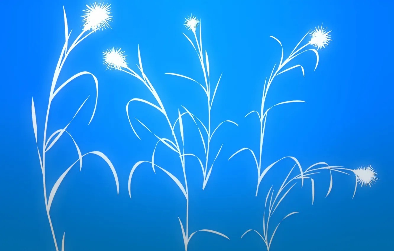 Photo wallpaper the sky, grass, leaves, flowers, plant, stem