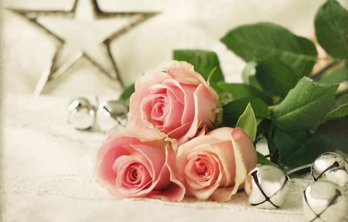 Photo wallpaper stars, roses, Bells