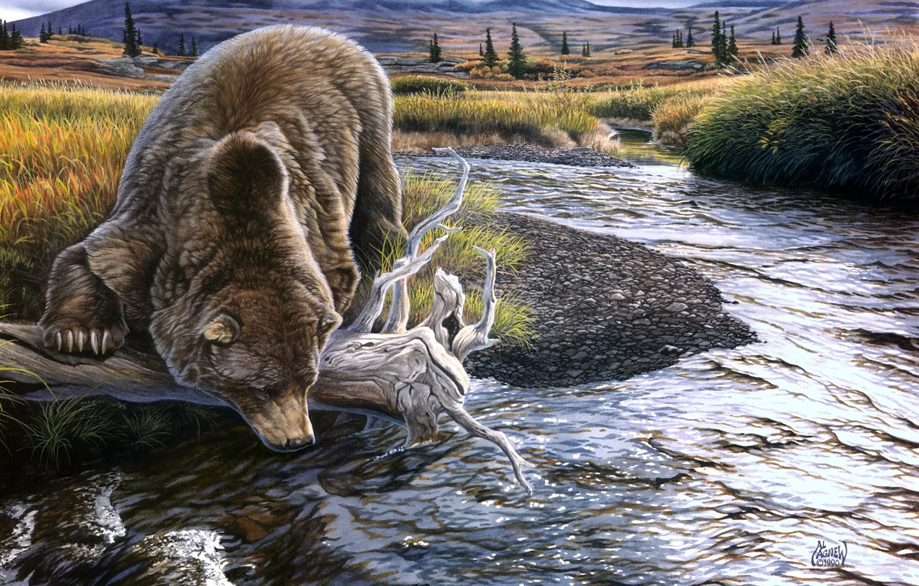 Photo wallpaper nature, shore, figure, picture, bear, art, snag, painting