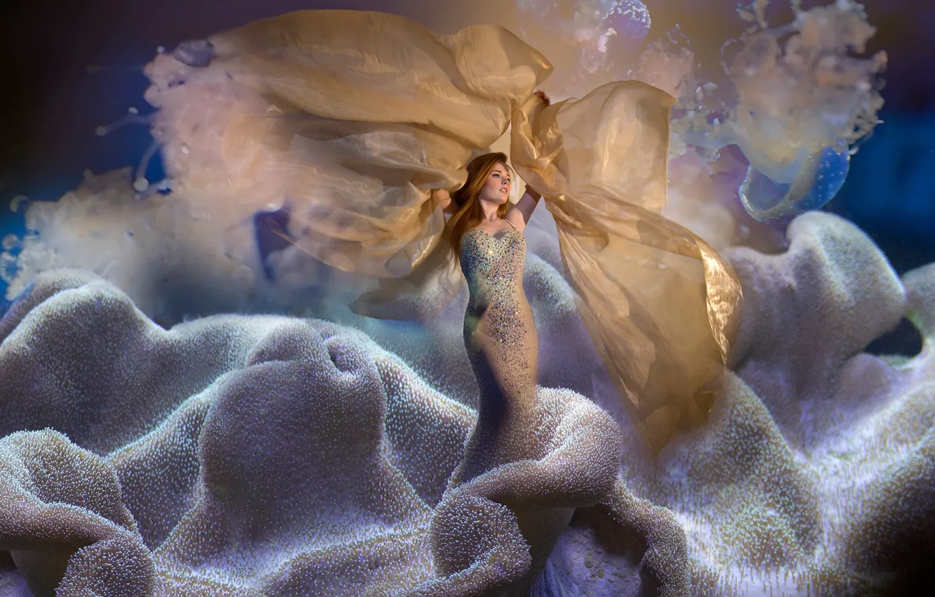 Photo wallpaper mermaid, corals, krasavica
