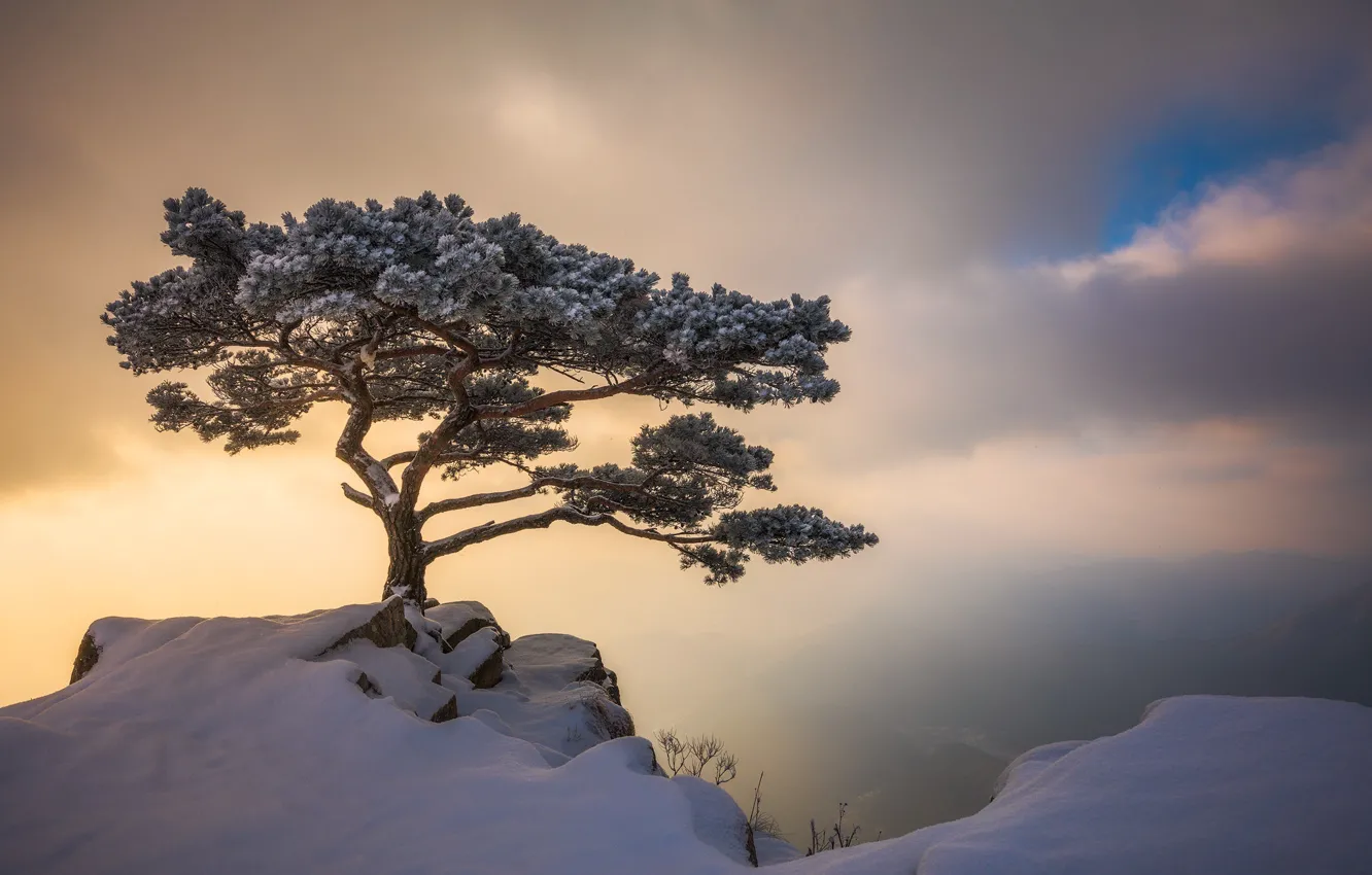 Photo wallpaper winter, the sky, clouds, light, snow, trees, rocks