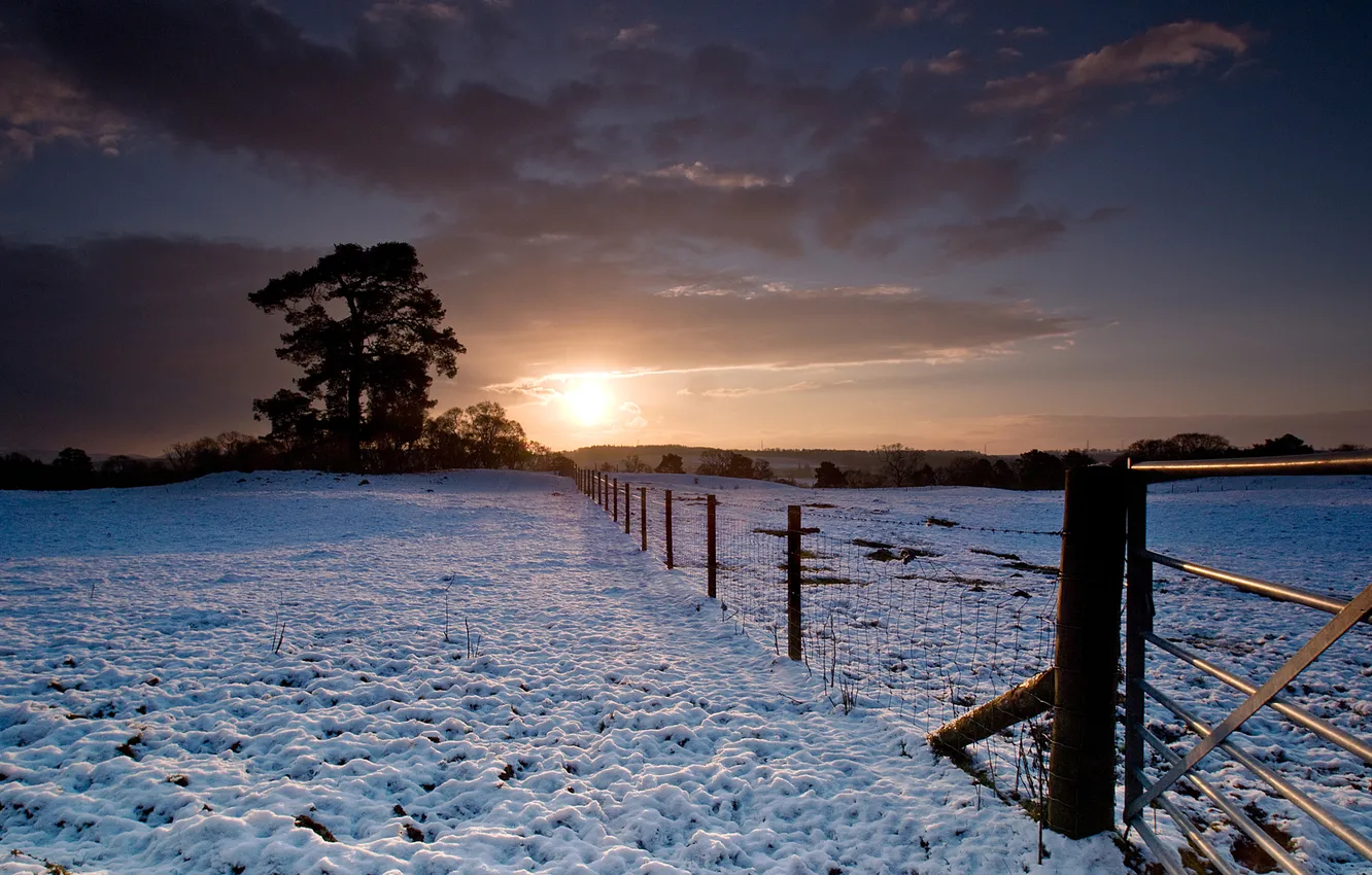 Photo wallpaper winter, snow, trees, sunset, the fence
