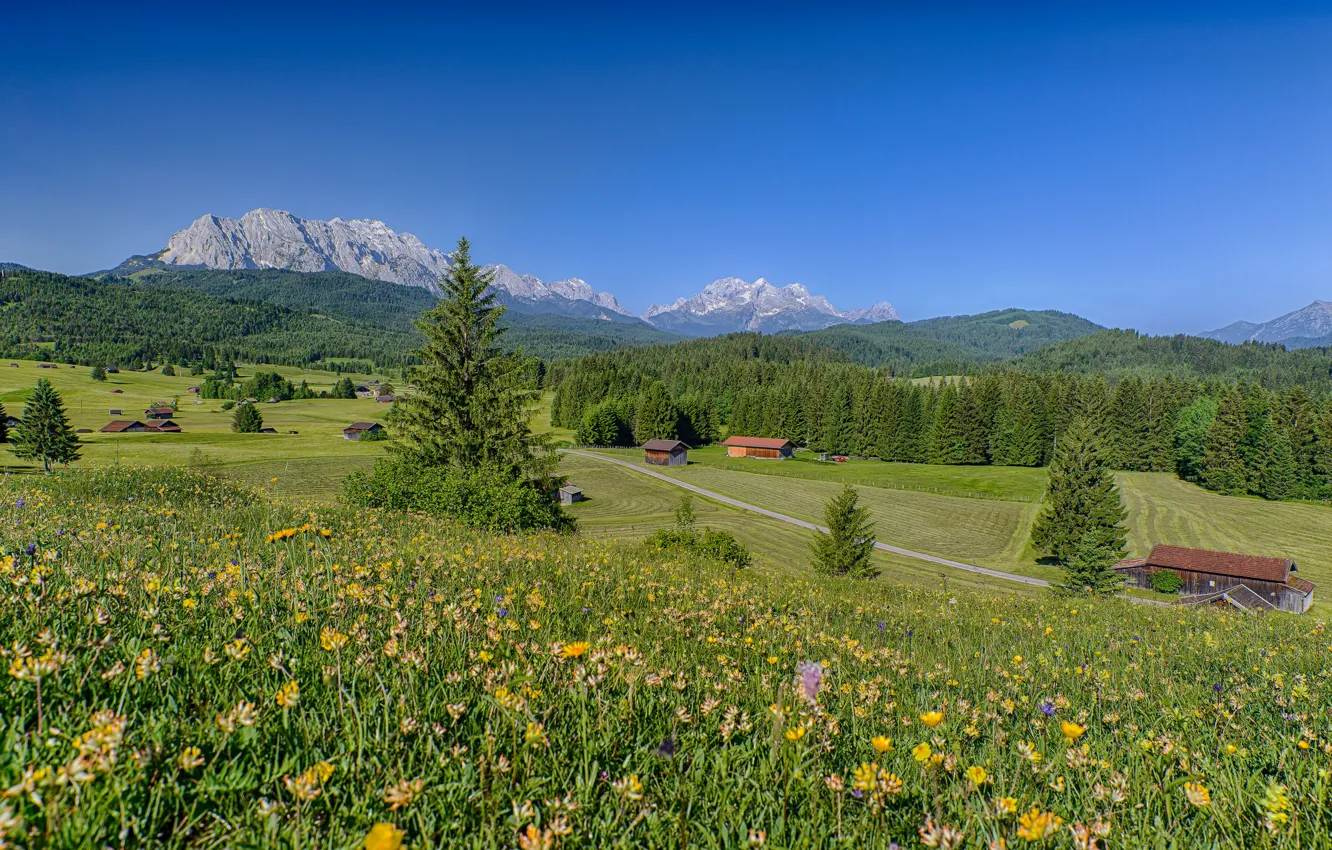 Photo wallpaper forest, landscape, flowers, mountains, home, Germany, Bayern, Alps