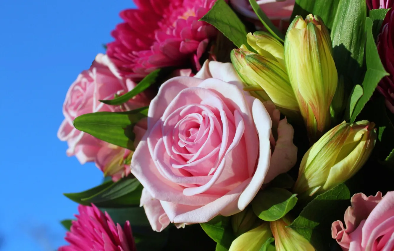 Photo wallpaper flowers, Lily, roses, bouquet