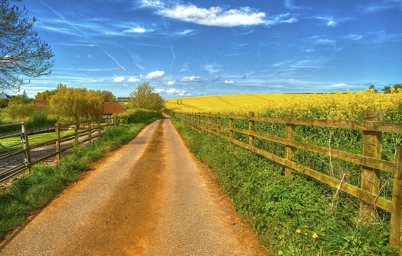Photo wallpaper road, field, the sky, grass, clouds, the fence, home, flowering