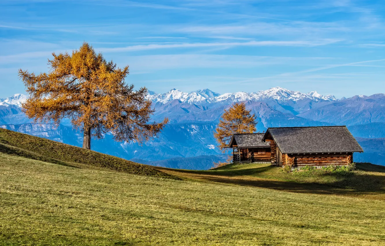 Photo wallpaper autumn, mountains, house, tree, Alps, Italy, South Tyrol