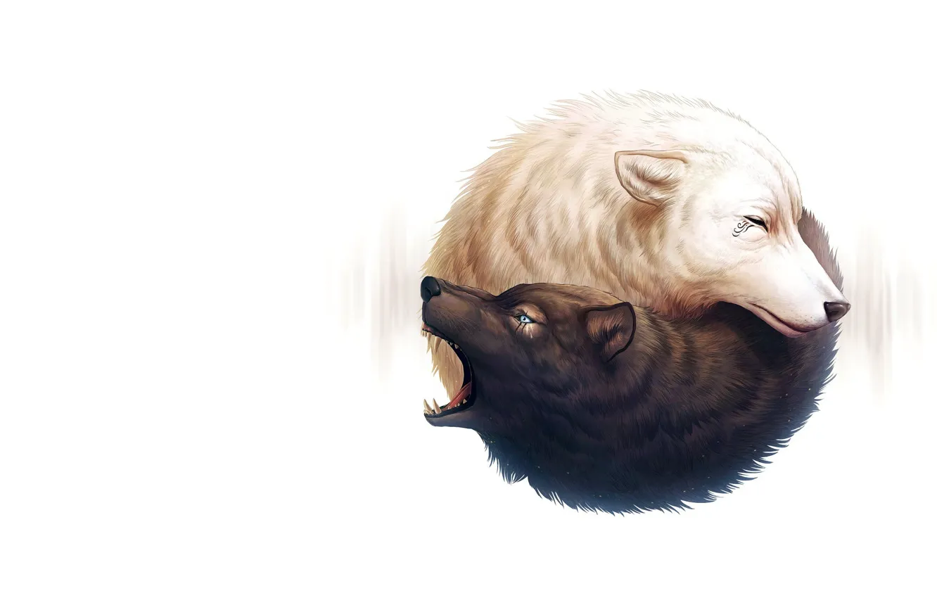 Photo wallpaper love, wolf, art, pair, Yin, Yang, Jonas Jödicke