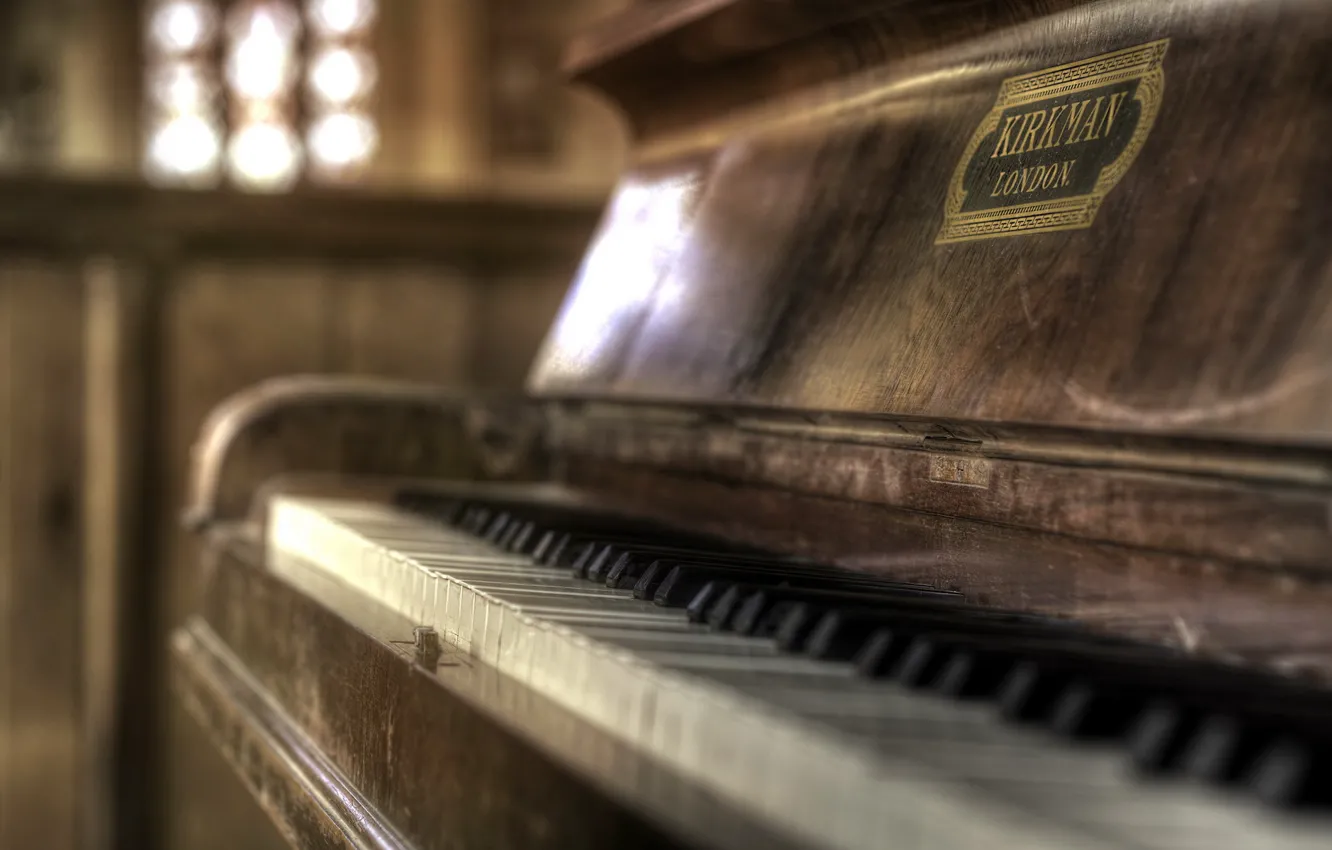 Photo wallpaper HDR, Focus, plan, Kirkman