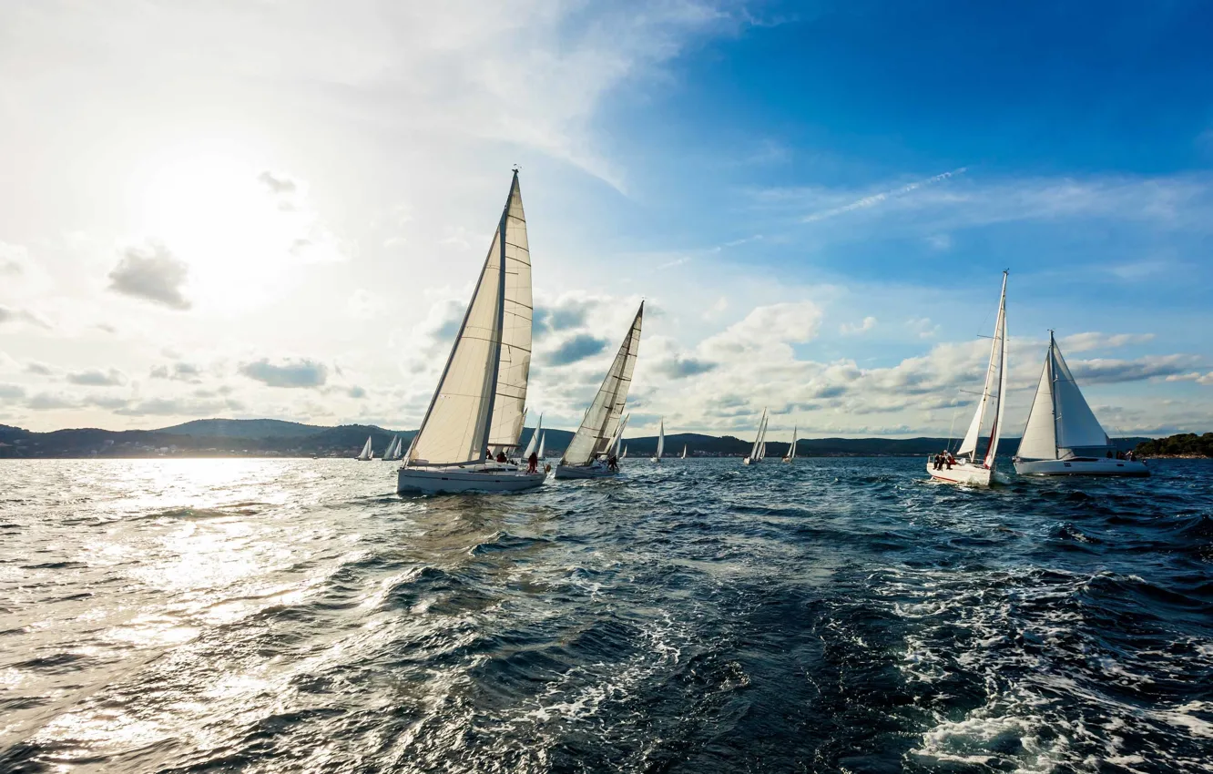 Photo wallpaper sea, yachts, regatta, sailing