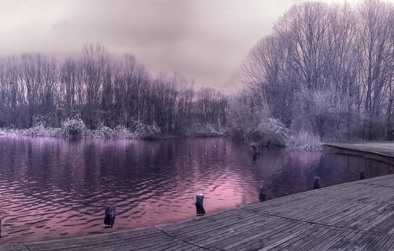 Photo wallpaper frost, grass, trees, lake, pier