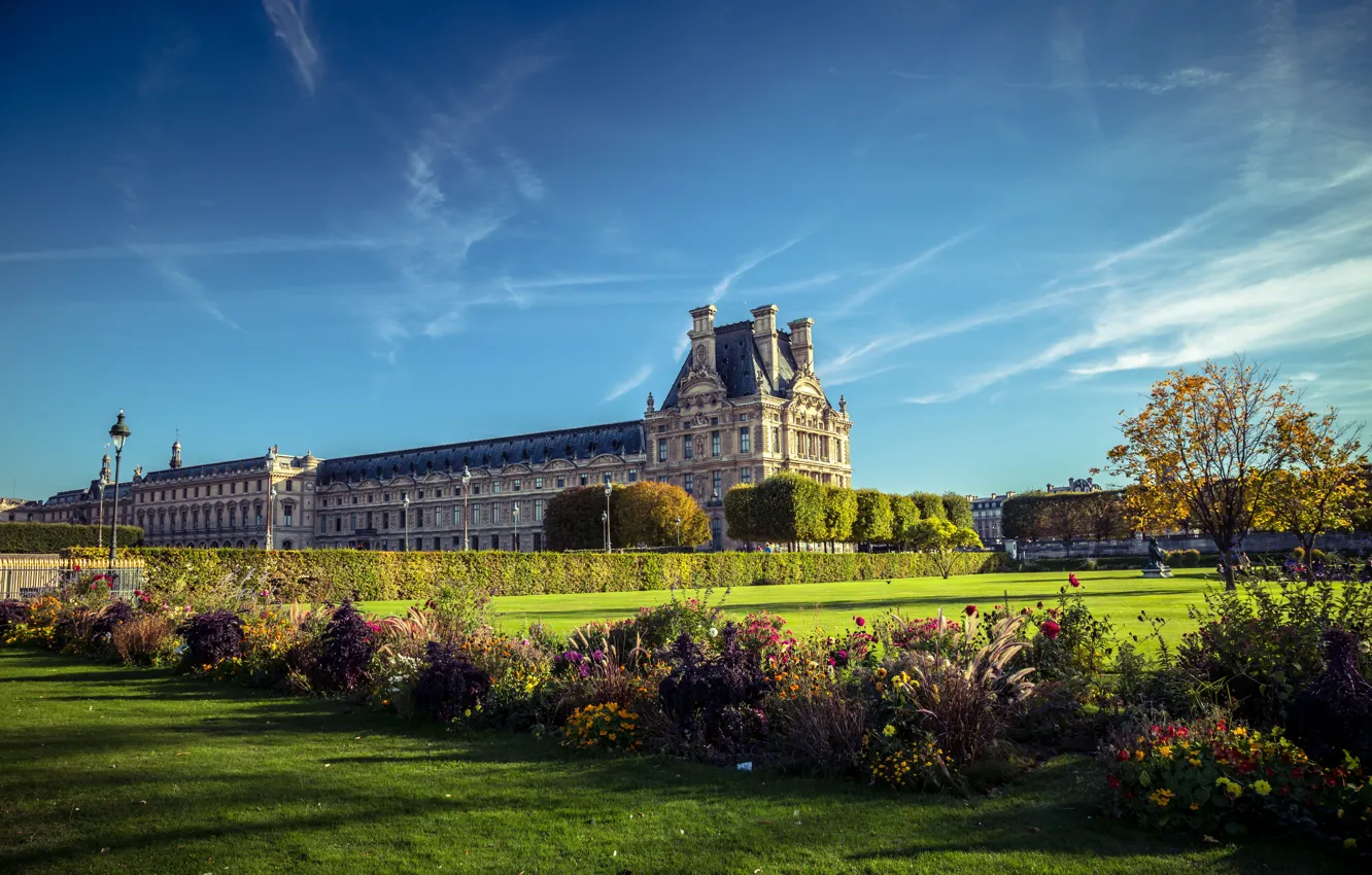Photo wallpaper flowers, Park, France, Paris, Paris, the bushes, Palace, France