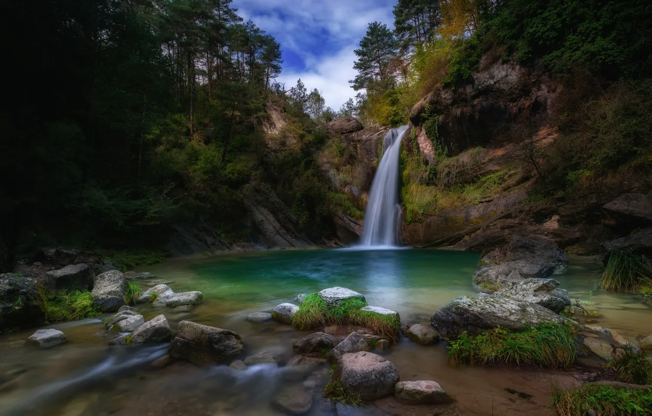 Photo wallpaper forest, lake, stones, thickets, waterfall, stream