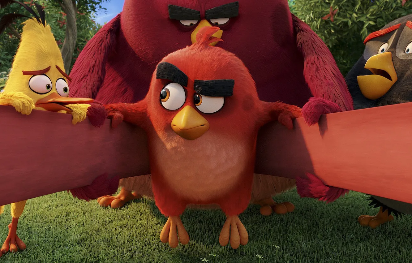 Photo wallpaper red, game, birds, film, animated, angry, Angry Birds, invasion