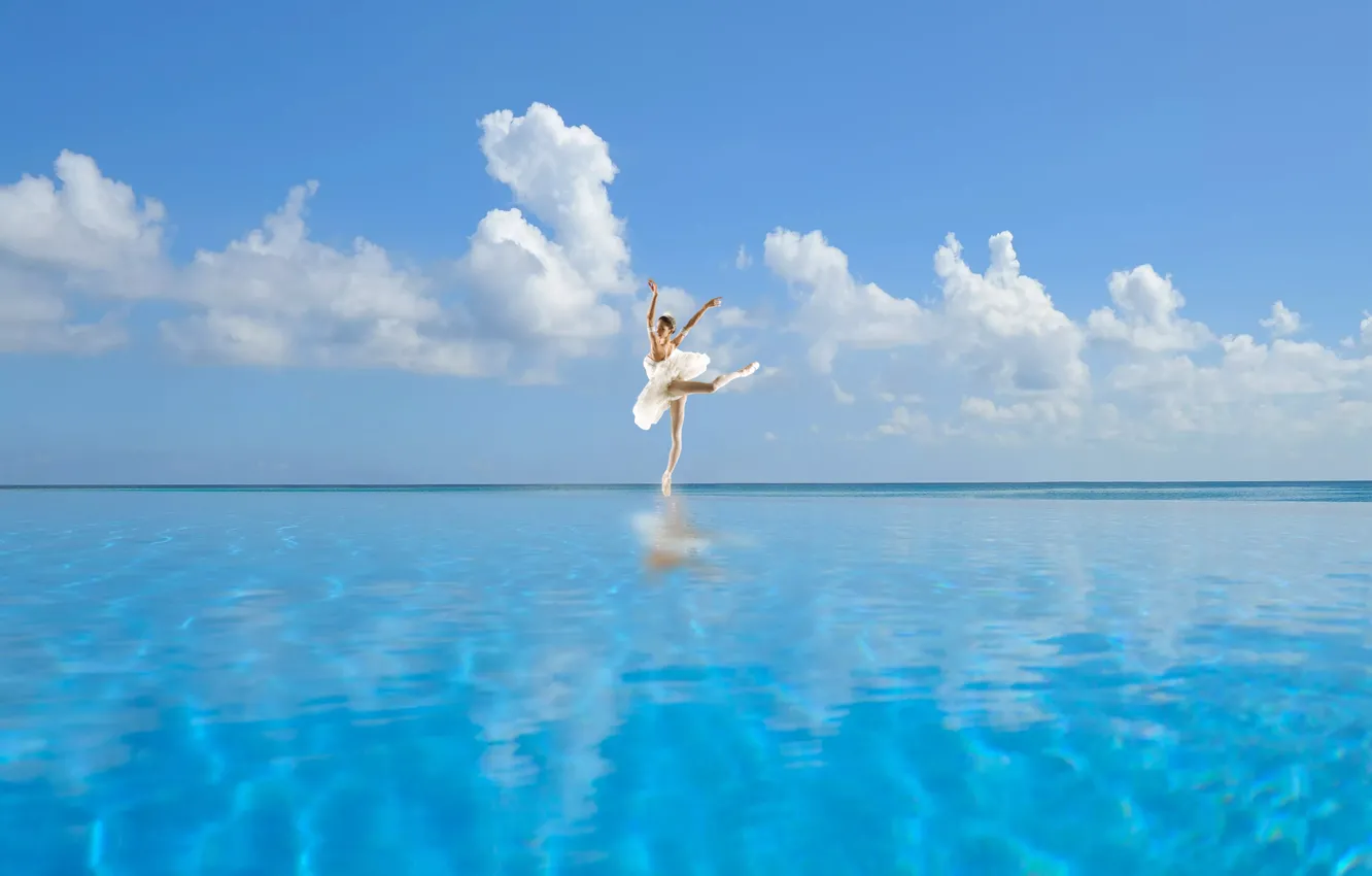 Photo wallpaper swan, lake, blue sky, ballet