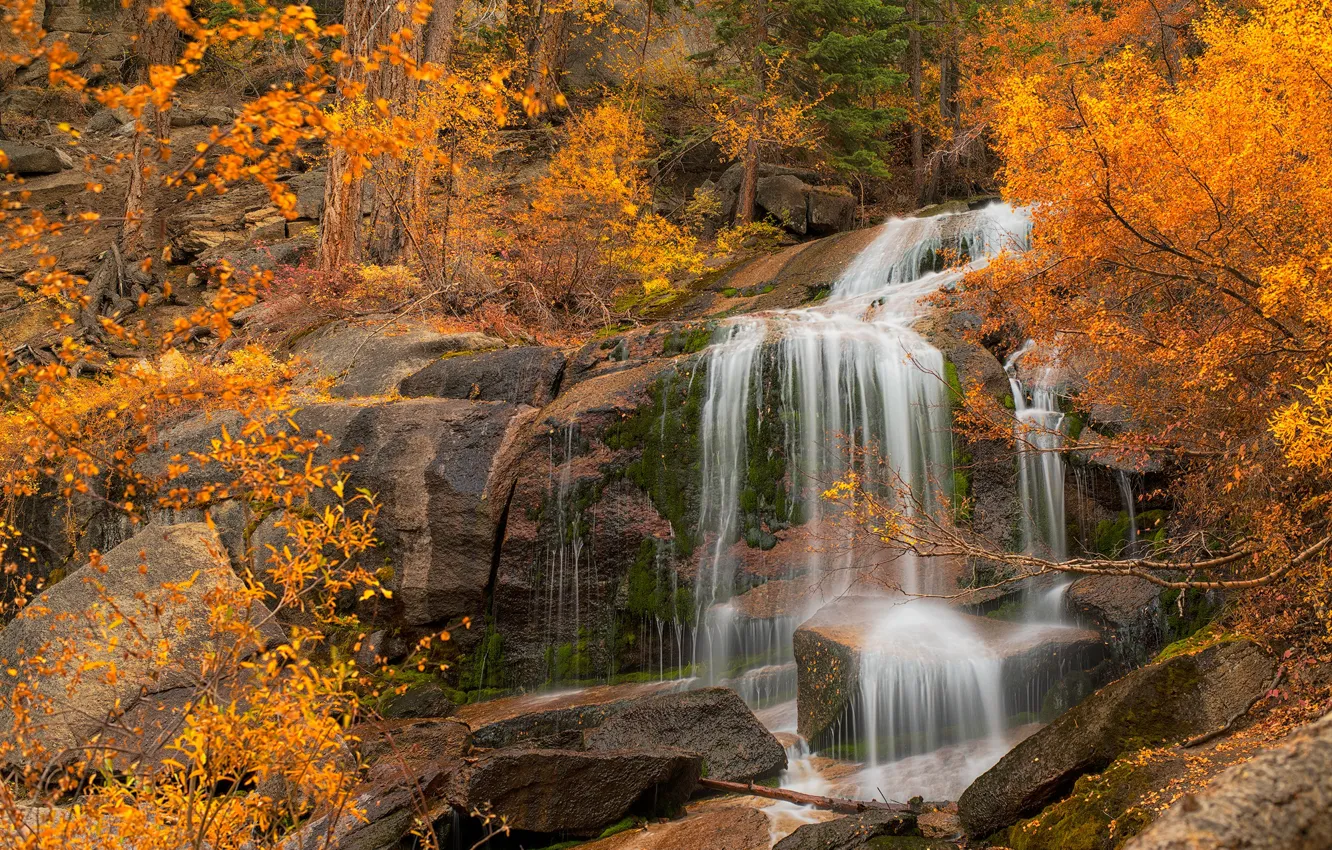 Photo wallpaper autumn, trees, rocks, waterfall, CA, cascade, California, Eastern Sierra