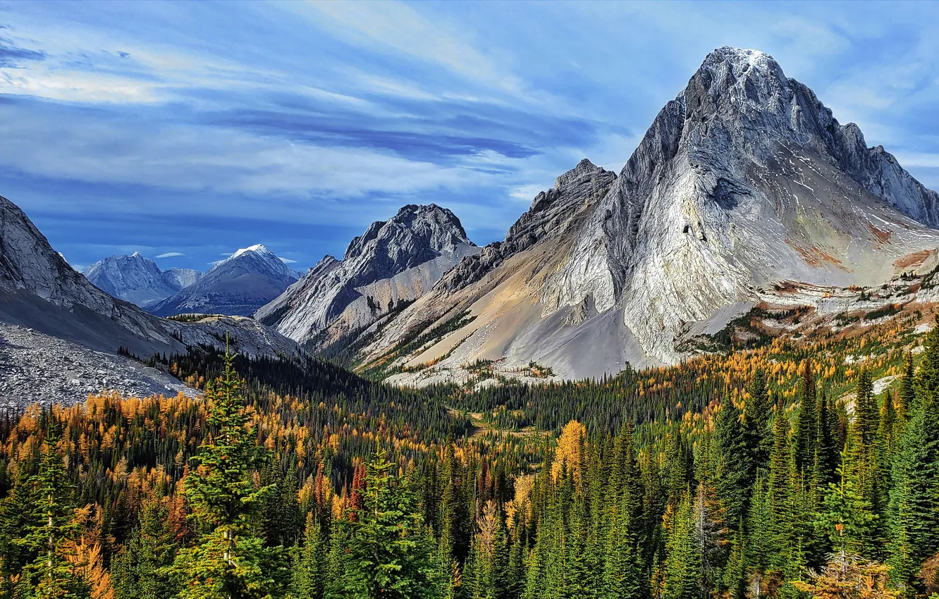 Photo wallpaper autumn, forest, mountains, height