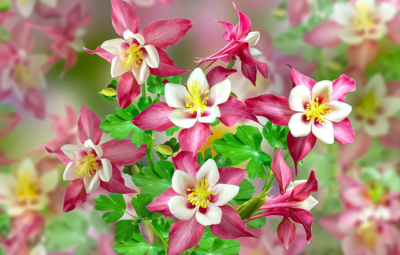 Photo wallpaper Flowers, pink, Orliki