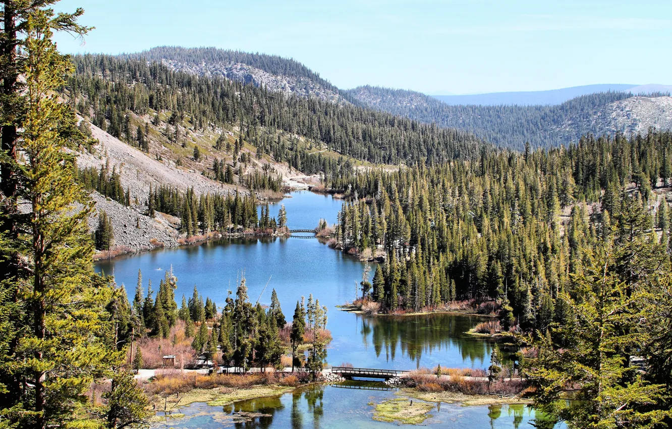 Photo wallpaper forest, mountains, lake, California, Mammoth Lakes
