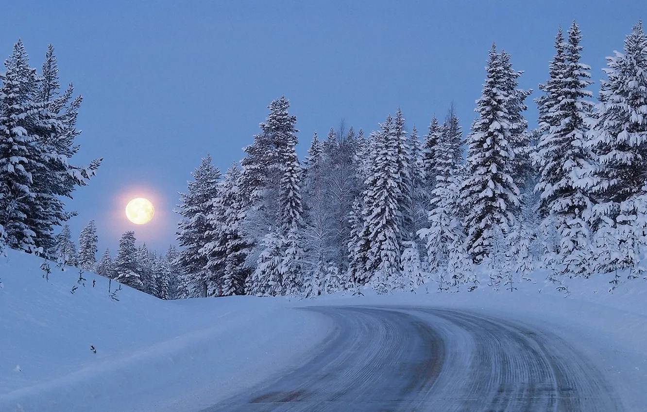 Photo wallpaper winter, road, forest, snow, trees, the moon, twilight