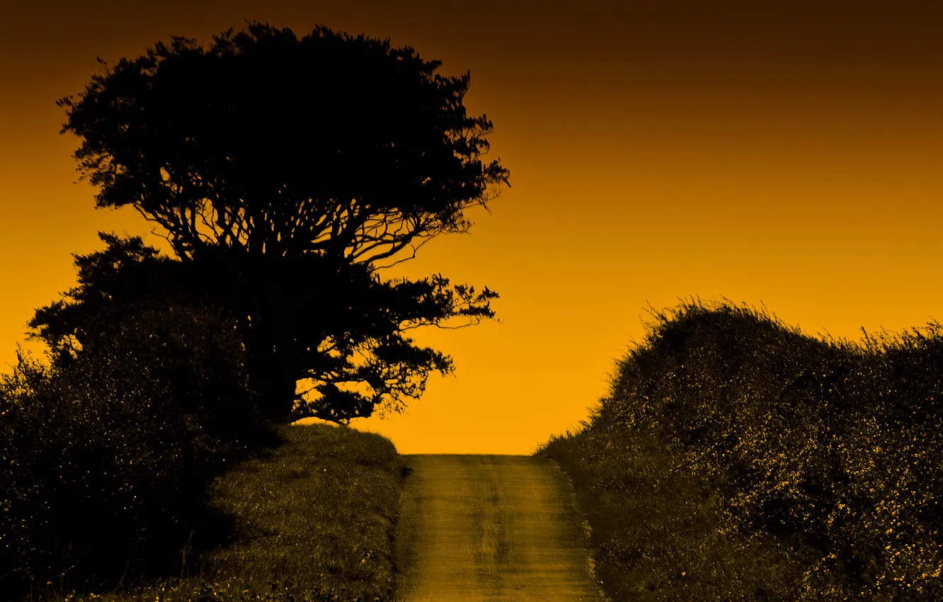 Photo wallpaper road, the sky, trees, hills, glow, the bushes