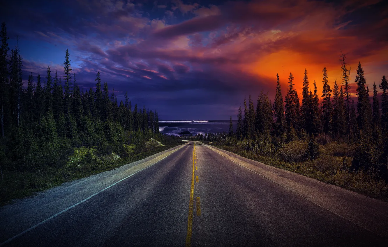 Photo wallpaper road, forest, the sky, clouds, trees, sunset, nature