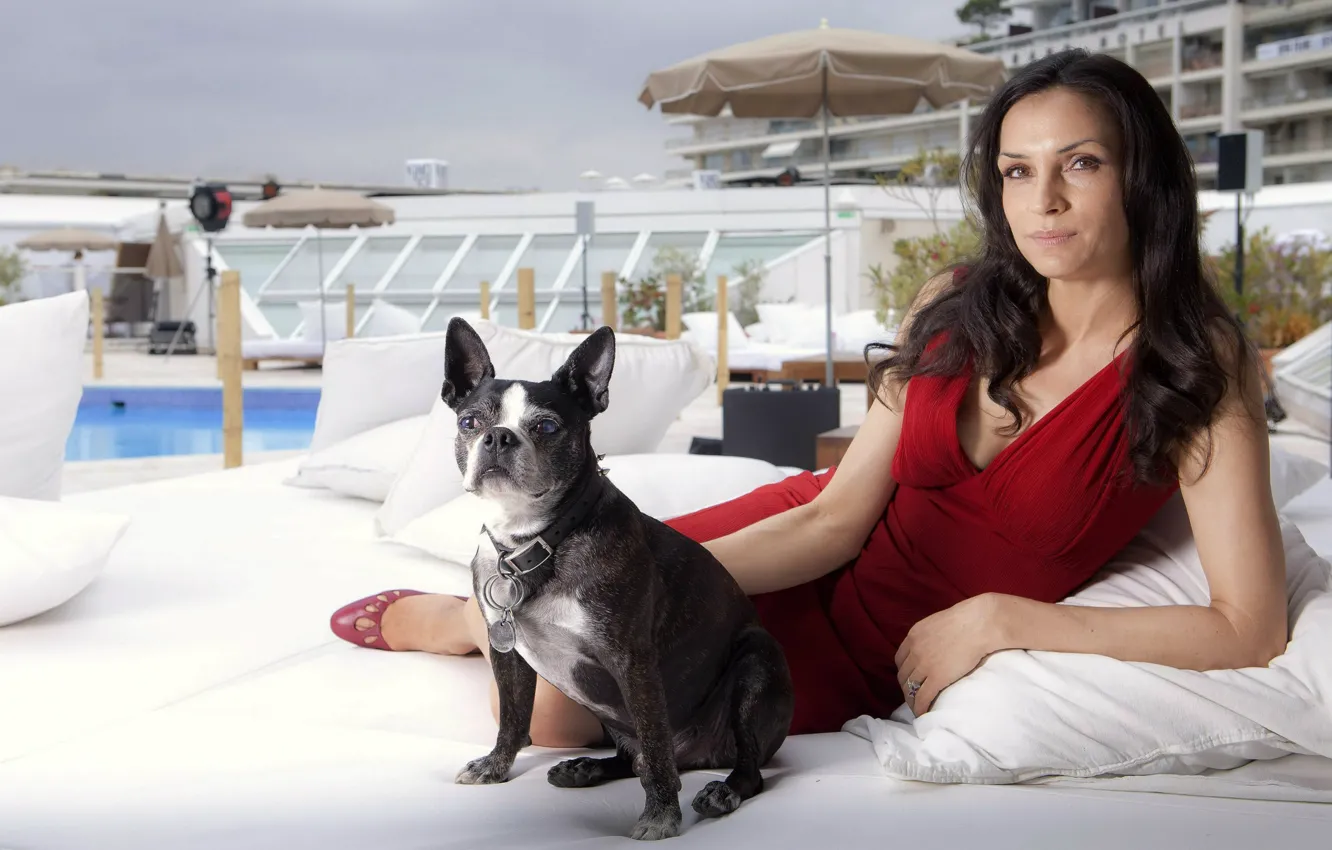 Photo wallpaper woman, dog, dress, bulldog, Famke Janssen, Famke Janssen