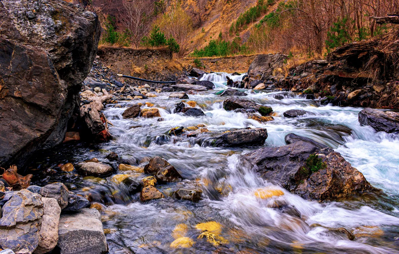 Photo wallpaper river, stones, stream, Hose